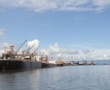Até o próximo dia 3, são esperados 18 navios, que chegam para carregar quase um milhão de tonelada do produto. 