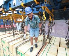 Em Paranaguá, todas as sete categorias sindicais, além da Cooperativa de Transportes e da Coopadubo, devem aderir ao movimento.