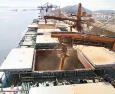 De janeiro até agora, foram exportadas pouco mais de um milhão de toneladas do produto, contra 340 mil toneladas no mesmo período de 2012. O crescimento foi de 65% nas exportações do produto.