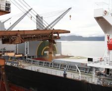 A procura pelo milho continua em alta no mercado brasileiro. Essa tendência pode ser sentida na movimentação atípica que tem se registrado no Porto de Paranaguá para a exportação do produto. 