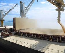 De janeiro a agosto, foram exportadas pelo porto paranaense 10 milhões de toneladas de  soja, farelo de soja e óleo de soja. O volume já superou o registrado no mesmo período do ano passado.