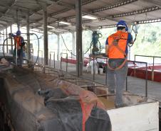A Companhia de Desenvolvimento Agropecuário do Paraná (Codapar), responsável pela classificação dos grãos para exportação no Estado, está testando a classificação antecipada dos grãos que saem do Interior. Antes de chegarem ao Porto de Paranaguá, a qualidade da soja, do milho e do farelo de soja está sendo avaliada no Centro Logístico de Guarapuava. 
