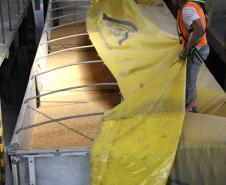 A Companhia de Desenvolvimento Agropecuário do Paraná (Codapar), responsável pela classificação dos grãos para exportação no Estado, está testando a classificação antecipada dos grãos que saem do Interior. Antes de chegarem ao Porto de Paranaguá, a qualidade da soja, do milho e do farelo de soja está sendo avaliada no Centro Logístico de Guarapuava. 