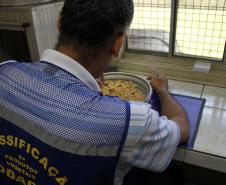 A Companhia de Desenvolvimento Agropecuário do Paraná (Codapar), responsável pela classificação dos grãos para exportação no Estado, está testando a classificação antecipada dos grãos que saem do Interior. Antes de chegarem ao Porto de Paranaguá, a qualidade da soja, do milho e do farelo de soja está sendo avaliada no Centro Logístico de Guarapuava. 