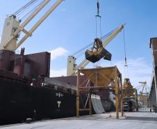 De janeiro a agosto de 2013, foram importadas 6,3 milhões de toneladas do produto, quantidade 12% superior ao mesmo período do ano passado. Melhorias logísticas permitiram que o tempo de espera dos navios diminuísse substancialmente 