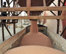 De janeiro a agosto de 2013, foram importadas 6,3 milhões de toneladas do produto, quantidade 12% superior ao mesmo período do ano passado. Melhorias logísticas permitiram que o tempo de espera dos navios diminuísse substancialmente 