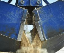 De janeiro a agosto de 2013, foram importadas 6,3 milhões de toneladas do produto, quantidade 12% superior ao mesmo período do ano passado. Melhorias logísticas permitiram que o tempo de espera dos navios diminuísse substancialmente 
