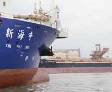 Nessa etapa inicial da obra, as dragas que trabalham são as autotransportadoras do tipo Hopper Xin Hai Niu, com capacidade de 10.000 m³, e a Sucuri, de 600 m³.