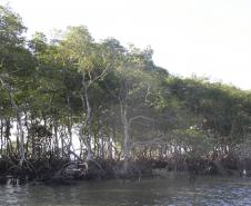 A Administração dos Portos de Paranaguá e Antonina (Appa) inicia 2014 com mais um passo rumo à excelência na gestão ambiental do setor portuário paranaense. Para tanto, contratou empresas especializada em consultoria e defesa ambiental para a implantação de um Sistema Integrado de Gestão Ambiental (SGA), sob a coordenação do Núcleo Ambiental da APPA.