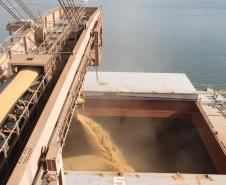 Um navio  começou a carregar no último final de semana e já zarpou. Outros dois carregam desde segunda-feira (27). As  embarcações operam no Corredor de Exportação e devem receber, em média, 60 mil toneladas do grão, cada.