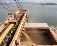 Volume de caminhões recebidos aumentou 36,5% no período, sem a formação de filas nas estradas. Entre os produtos movimentados, o destaque é a soja que este ano teve o escoamento adiantado