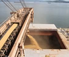 Entre os destaques está a exportação de soja, que já é 157% superior aos três primeiros meses de 2013, totalizando 2,7 milhões de toneladas exportadas. A exportação de farelo de soja apresentou alta de 8%, totalizando 883,7 mil toneladas.