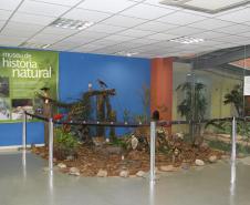 Quem for visitar a sede administrativa do Porto de Paranaguá até o próximo dia 13 de junho vai ser recepcionado por uma onça pintada, um tamanduá, um guará, um tucano e uma arara, além de outras espécies. É que a Administração dos Portos de Paranaguá e Antonina (Appa) abriu nesta terça-feira (27) a exposição “Riquezas da Mata Atlântica”. 