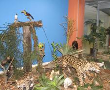 Quem for visitar a sede administrativa do Porto de Paranaguá até o próximo dia 13 de junho vai ser recepcionado por uma onça pintada, um tamanduá, um guará, um tucano e uma arara, além de outras espécies. É que a Administração dos Portos de Paranaguá e Antonina (Appa) abriu nesta terça-feira (27) a exposição “Riquezas da Mata Atlântica”. 