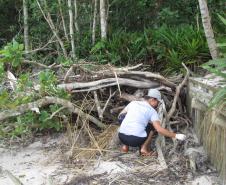 A equipe de Educação Ambiental da Administração dos Portos de Paranaguá e Antonina (Appa) promoveu, no último sábado (14), a limpeza das praias da Ilha do Mel. A ação foi realizada em parceria com o escritório regional do Instituto Ambiental do Paraná (IAP), com a Organização Não Governamental Parceiros do Mar e com a comunidade da ilha. A atividade integra o Programa de Educação Ambiental da Appa e outras ações semelhantes estão previstas para o segundo semestre.