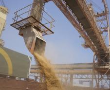 Desempenho no Corredor de Exportação têm ajudado a aquecer o mercado, garantindo melhores preços ao produto exportado pelos terminais paranaenses