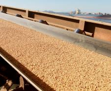 Os Portos de Paranaguá e Antonina fecharam o mês de junho com 23,4 milhões de toneladas movimentadas este ano. O volume é 7% superior ao registrado no mesmo período do ano passado. 