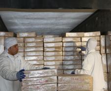 O volume de carne exportada pelo Porto de Paranaguá está maior. No primeiro semestre deste ano, foram 684 mil toneladas exportadas, 23% a mais que o exportado no mesmo período do ano passado.  