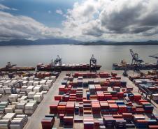 Porto de Paranaguá lidera exportações brasileiras de farelo de soja, óleo vegetal e congelados