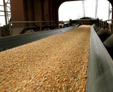 Porto de Paranaguá lidera exportações brasileiras de farelo de soja, óleo vegetal e congelados
