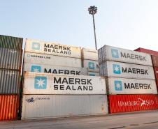Porto de Paranaguá assume a liderança nas exportações de carne de frango