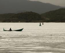 Pesca