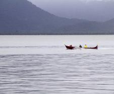 Pesca
