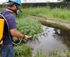 Portos do Paraná criam Patrulha Voluntária de combate à dengue