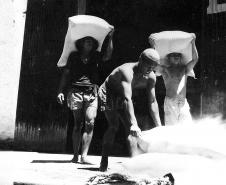 Recorde de produtividade marca os 81 anos do Porto de Paranaguá