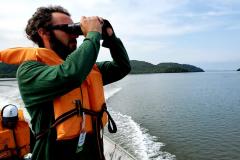 Levantamento soma-se a diversos programas ambientais desenvolvidos nas baias de Paranaguá e Antonina. Nesta ação foram avistadas 23 espécies, sendo as mais comuns o biguá e o urubu.