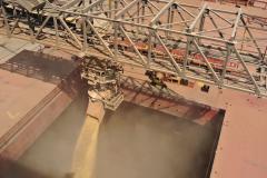 Estatística mostra que nos oito últimos meses, complexo de exportação de grãos do Porto de Paranaguá carregou meio milhão de tonelada a mais de grãos, em comparação com 2018