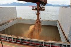O Porto de Paranaguá embarca a primeira carga de “farelo” produzido pelo processamento do milho para o etanol. Conhecido no mercado como DDGS, a operação será um teste para que o produto passe a entrar na rotina das exportações paranaenses a granel. Neste primeiro lote, 27,5 mil toneladas serão levadas ao Reino Unido, Inglaterra, pelo navio Interlink Acuity.