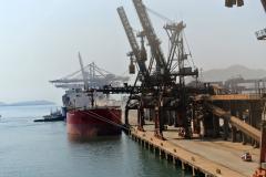 Corredor de exportação do porto paranaense movimenta 20,23 milhões de toneladas superando a marca histórica registrada em 2018, de 19,76 milhões Compartilhar