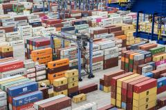 Volume em janeiro deste ano foi 29% superior ao registrado no mesmo período de 2019. Além da marca alcançada, também chama a atenção a diversidade das cargas movimentadas nos contentores. 