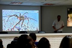 Época do ano, quente e úmida, registra grande aparecimento desses bichos, saber como proceder em caso de encontro ou picada, é fundamental