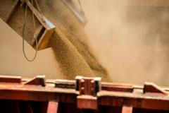 A Portos do Paraná espera atracar até o fim de abril 115 navios. Porto de Paranaguá mantém operações com cuidados de segurança.