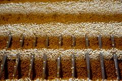 Os resultados do primeiro semestre foram apresentados pelos diretores da Rumo durante uma videoconferência com o chefe da Casa Civil, Guto Silva, e o secretário de Infraestrutura e Logística, Sandro Alex. 