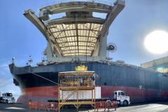 O Penguin Arrow veio receber o 2° maior lote de celulose já embarcado pela Klabin no Porto de Paranaguá: 45.758 toneladas, que irão para a China. Mas não é só isso...Em um dos porões, a embarcação traz malte. Então, o carregamento da carga geral e a descarga do granel ocorrerão de forma simultânea, em algum momento da operação que deve levar cerca de três dias.