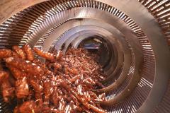 Mesmo com pandemia, indústria alimentícia paranaense cresce 9,4% no ano