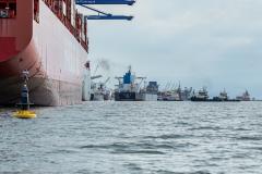 A movimentação histórica de mais de 55 milhões de toneladas de carga movimentada, o maior número de caminhões recebidos no Pátio de Triagem, o maior navio de grãos recebido, entre outros, fizeram com que os portos de Paranaguá e Antonina se destacassem no mercado portuário brasileiro.