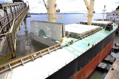 Previsão é movimentar cerca de 6 milhões de toneladas de granéis sólidos. Para isso, objetivo é ter máxima produtividade nos três berços a leste do cais e o do corredor oeste.