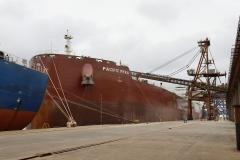 Mais um grande navio graneleiro atraca no Corredor de Exportação do Porto de Paranaguá para receber uma carga recorde de farelo de soja. O Pacific Myra, com 292 metros de comprimento (loa) e 45 metros de largura (boca), atracou no berço 214, no último final de semana, e segue carregando. A embarcação vai levar, para a Holanda, 108.577 mil toneladas do produto. 