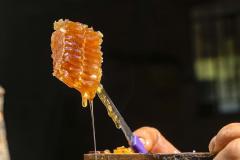  As exportações de mel, pelo Porto de Paranaguá, cresceram 31,65% neste primeiro quadrimestre, comparado com o período em 2020. 