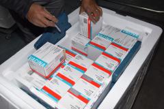 Vacinação portuários