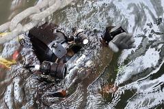 Serviços de mergulho especializado tiveram início nesta semana. Trabalho será realizado em toda extensão da faixa primária, dos berços 201 ao 218 e até o píer público de granéis líquidos. Investimento da Portos do Paraná é de R$ 2,8 milhões.