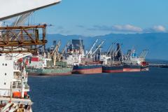 Portos do Paraná tiveram melhor semestre da história em movimentação de cargas