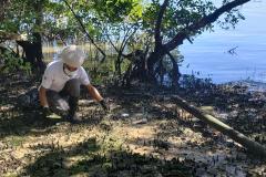 Além do benefício da limpeza desse importante ecossistema, a atividade integra as pessoas das comunidades de forma a despertar a consciência e o engajamento quanto à preservação.