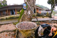 Sistema de proteção de nascentes evita contaminação da água. Trabalho faz parte do projeto de readequação de microssistemas de abastecimento de água nas áreas de abrangência dos portos paranaenses.