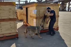 Ação conjunta reuniu Receita Federal, Polícia Militar e Unidade Administrativa de Segurança Portuária