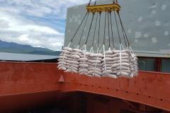 Portos do Paraná fecham setembro com um volume de 44,5 milhões de cargas movimentadas no ano